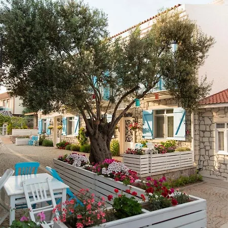 Zeytin Arasi מלון דירות 3*