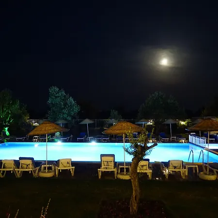 Zeytin Arasi 3*