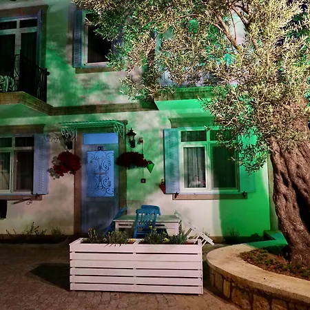 Zeytin Arasi מלון דירות