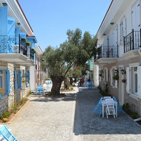 Zeytin Arasi 3*
