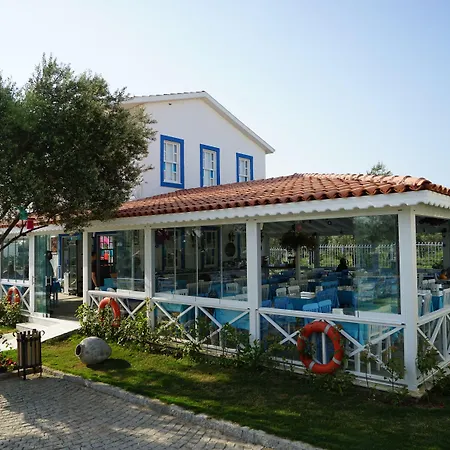 Zeytin Arasi Ayvalı