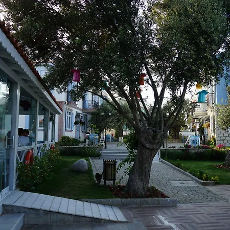 Zeytin Arasi מלון דירות Ayvalı