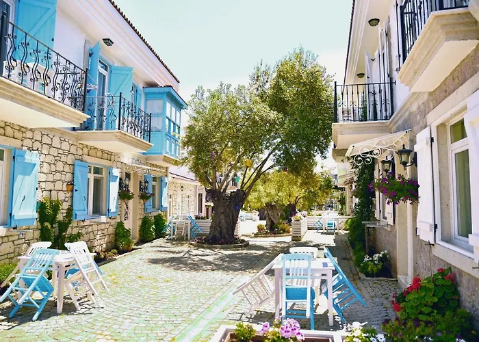 Zeytin Arasi 4* Ayvalı