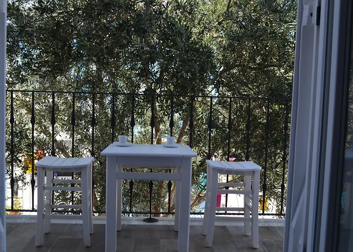 Appart hôtel Zeytin Arasi 4*