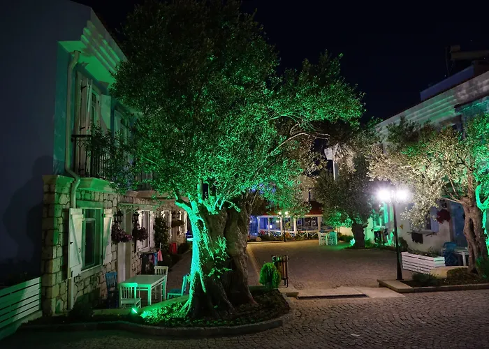 Zeytin Arasi Appart hôtel Ayvalı