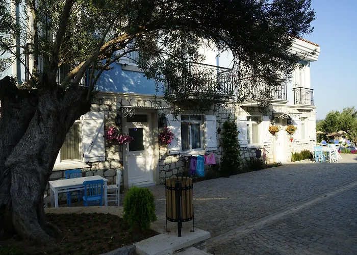 Appart hôtel Zeytin Arasi