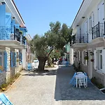 Zeytin Arasi 3*