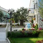 Zeytin Arasi