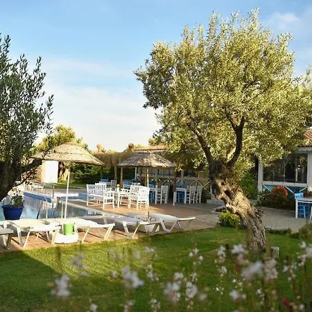 Zeytin Arasi 4* Ayvalı