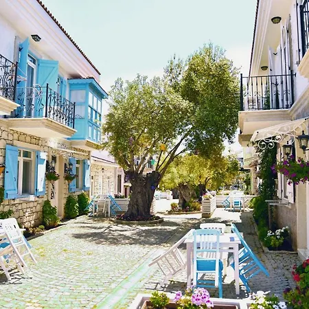 Zeytin Arasi 4* Ayvalı