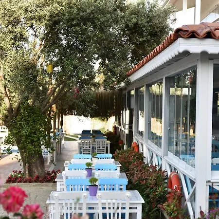 Zeytin Arası Apart Otel Ayvalı