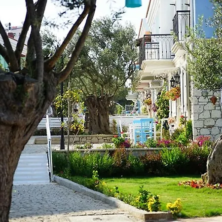 Apart Otel Zeytin Arası Ayvalı