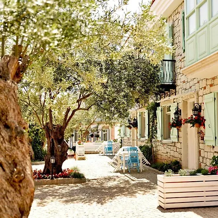 Zeytin Arası Apart Otel Ayvalı
