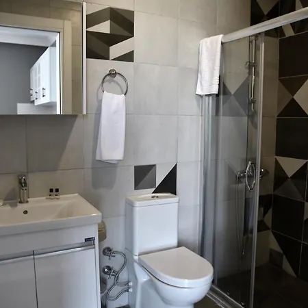 Zeytin Arası Apart Otel Ayvalı