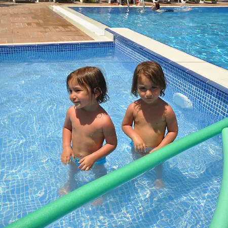 Zeytin Arasi Ayvalı