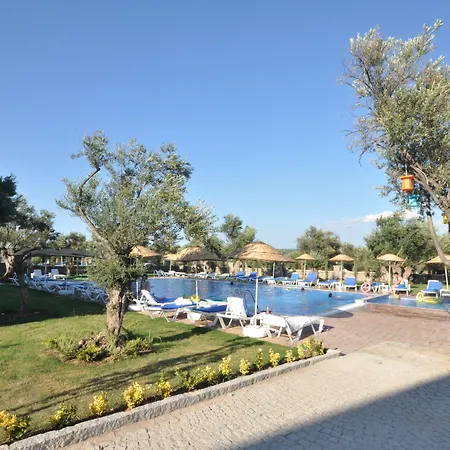 Zeytin Arasi