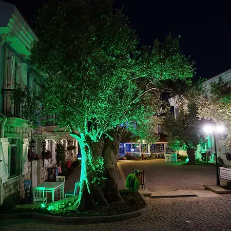 Zeytin Arasi Apartmanhotel Ayvalı