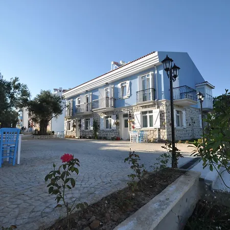 Zeytin Arasi 3* Аявали