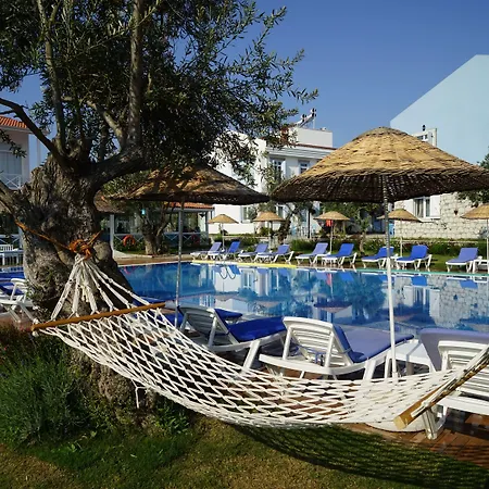 Zeytin Arasi 3* Ayvalı