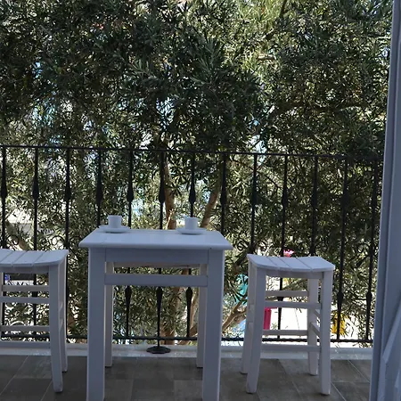 Apart Otel Zeytin Arası Ayvalı