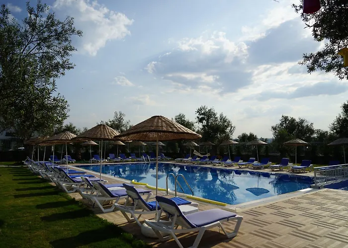 Zeytin Arasi Ayvalik