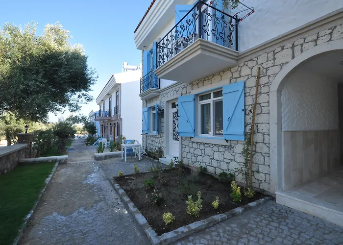 Zeytin Arasi Ayvalik