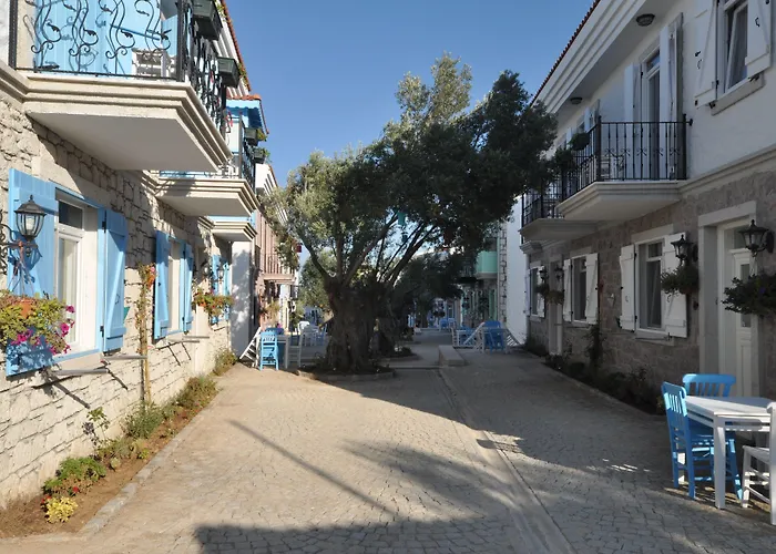 Zeytin Arasi Aparthotel Ayvalik