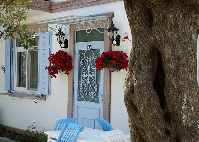 Aparthotel Zeytin Arasi