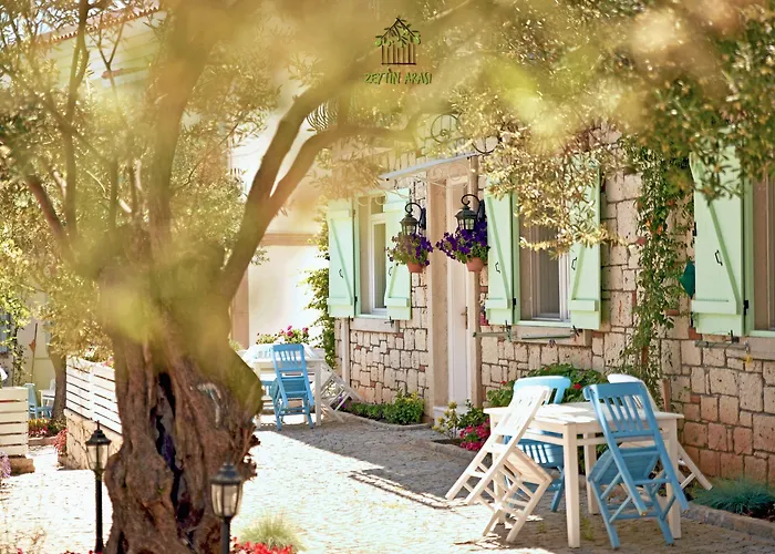 Zeytin Arasi Ayvalik