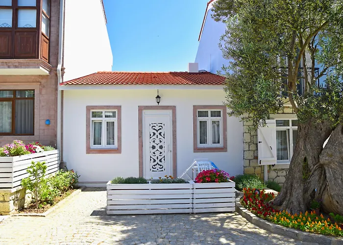 Zeytin Arasi Ayvalik